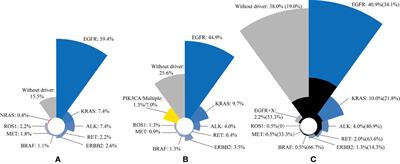 Advances in Lung Cancer Driver Genes Associated With Brain Metastasis